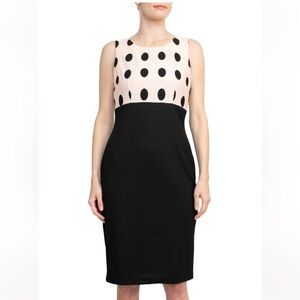 NWT Danny & Nicole Scoop Neck Sleeveless Zipper Back Polka Dot Print Dress